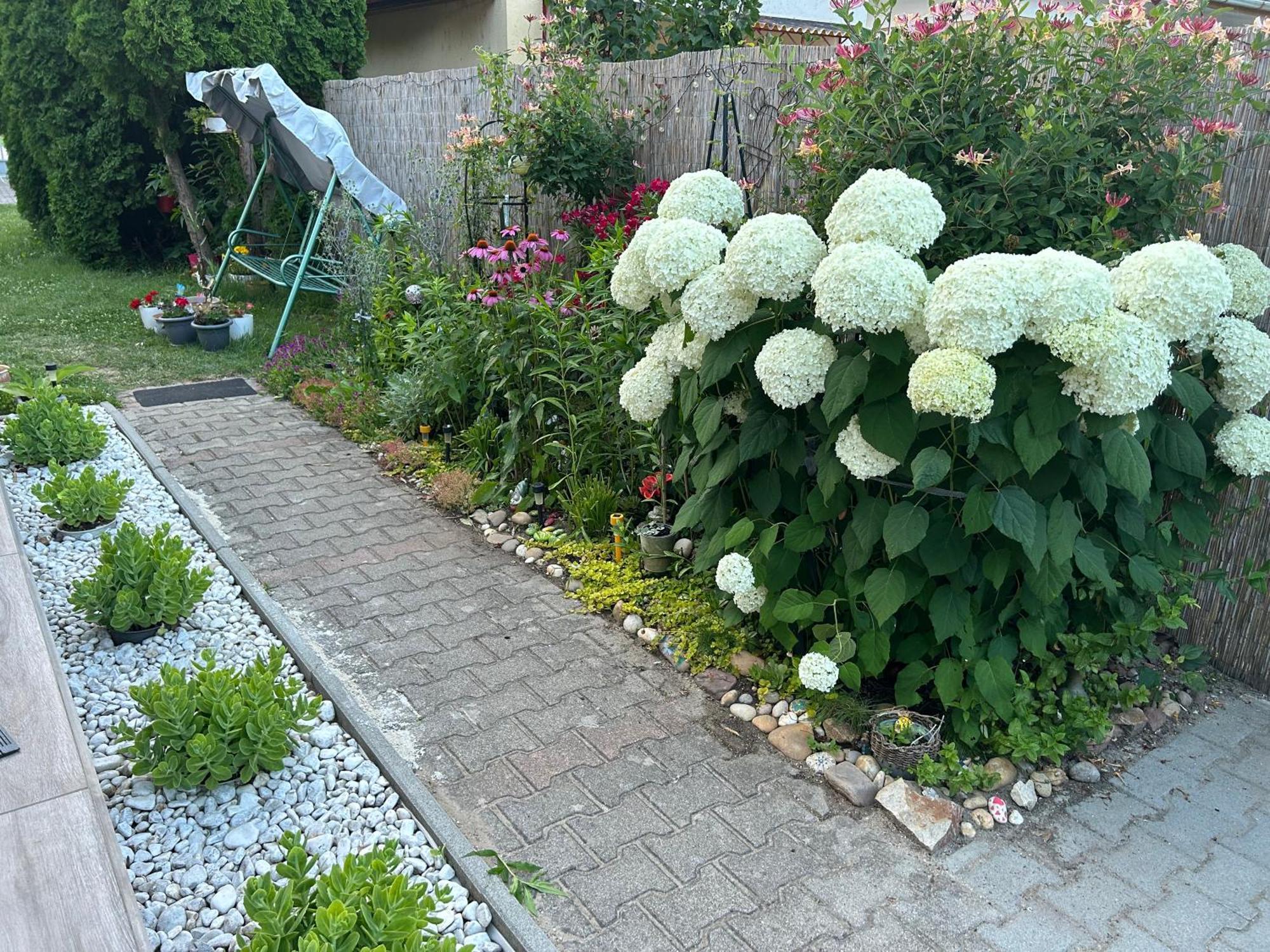 Noemi89 Apartman Siófok Exterior foto